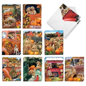 Pumpkin Puppies, Assorted Set Of 20 Printed Thanksgiving Notecards - AM10191TGG-B2x10