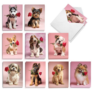 Puppies And Flowers, Assorted Set Of Printed Valentine's Day Notecards - AM11013VDG-B2x10
