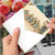 Sweet Tweets, Printed Graduation Greeting Card - C2344GGDG
