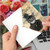 Steampunk Cats, Printed Mother's Day Greeting Card - C6554DMDG Steampunk Cats, Printed Mother's Day Greeting Card - C6554DMDG