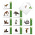 Zoo Yoga, Assorted Set Of Square-Top Blank Notecards - AMQ6547OCB