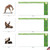 Zoo Yoga, Assorted Set Of Square-Top Blank Notecards - AMQ6547OCB