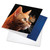 On The Nose - Tabby Cat, Printed Square-Top Birthday Greeting Card - CQ4947BBDG