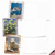 Ocean Driftwood Transfers, Assorted Set Of Blank Notecards - AM6331OCB Ocean Driftwood Transfers, Assorted Set Of Blank Notecards - AM6331OCB