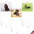 Darling Dachshunds, Assorted Set Of Blank Notecards - AM6829OCB