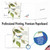 Scripture Birds - Psalm 150:6, Extra Large Congratulations Greeting Card - J7108ICGG Scripture Birds - Psalm 150:6, Extra Large Congratulations Greeting Card - J7108ICGG