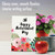 Optimisms, Printed Retirement Greeting Card - C6631GRTG