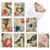 Victorian Garden, Assorted Set Of Blank Notecards - AM3972OCB
