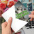 This Much Kitten, Printed Thank You Greeting Card - C3612TYG This Much Kitten, Printed Thank You Greeting Card - C3612TYG