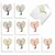 Gifted Trees, Assorted Set Of 20 Printed Christmas Notecards - AM3502XSG
