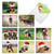 Gorgeous German Shepherds, Assorted Set Of Christmas Notecards - AM6828XSG Gorgeous German Shepherds, Assorted Set Of Christmas Notecards - AM6828XSG