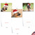 Gorgeous German Shepherds, Assorted Set Of Christmas Notecards - AM6828XSG Gorgeous German Shepherds, Assorted Set Of Christmas Notecards - AM6828XSG