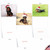 Darling Dachshunds, Assorted Set Of Christmas Notecards - AM6829XSG Darling Dachshunds, Assorted Set Of Christmas Notecards - AM6829XSG