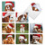 Captivating Cavalier King Charles, Assorted Set Of Christmas Notecards - AM6831XSG