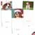 Captivating Cavalier King Charles, Assorted Set Of Christmas Notecards - AM6831XSG