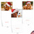 Captivating Cavalier King Charles, Assorted Set Of Christmas Notecards - AM6831XSG