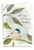 Birds Of Encouragement, Printed Sympathy Greeting Card - C9144JSMG