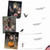 Ghoulish Greetings, Assorted Set Of 20 Printed Halloween Notecards - AM9147HWG