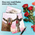 Wild Kisses, Assorted Set Of Valentine's Day Notecards - AM9280VDG