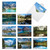 Reflections, Assorted Set Of Blank Notecards - AM1728OCB