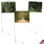 Nature Trails, Assorted Set Of Blank Notecards - AM6467OCB
