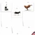 Bovine Nirvana, Assorted Set Of Blank Notecards - AM6545OCB