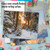Christmas Sunrise, Assorted Set Of Blank Notecards - AM6655XS