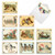 Sweet Tweets, Assorted Set Of 10 Printed Blank Notecards - AM2344OCB