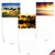Palm Beaches, Assorted Set Of 10 Printed Blank Notecards - AM6457OCB