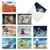 Elefantasy, Assorted Set Of 10 Printed Blank Notecards - AM6579OCB