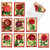 Retro Roses, Assorted Set Of Thank You Notecards - AM1739TYG