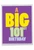 Big 101, Extra Large Milestone Birthday Greeting Card - J9388MBG