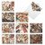 Sky Signs, Assorted Set Of Blank Notecards - AM2340OCB