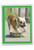 Skating Bulldogs - Green Wheels, Jumbo Birthday Greeting Card - J9517EBDG-US