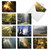 Shining Through, Assorted Set Of 20 Printed Sympathy Thank You Notecards - AM1735STG