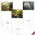 Shining Through, Assorted Set Of 20 Printed Sympathy Thank You Notecards - AM1735STG