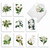 Snow-White Blooms, Assorted Set Of Blank Notecards - AM2818OCB