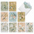 Botanical Sketchbook, Assorted Set Of 20 Printed Thank You Notecards - AM2819TYG