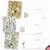 Botanical Sketchbook, Assorted Set Of 20 Printed Thank You Notecards - AM2819TYG