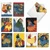 Spring Chickens, Assorted Set Of Blank Notecards - AM2829OCB