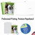 Animal Selfies, Assorted Set Of Thank You Notecards - AM2373TYG