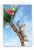 Tree Animals - Rhino, Printed Congratulations Greeting Card - C10323JCGG Tree Animals - Rhino, Printed Congratulations Greeting Card - C10323JCGG