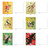 Enchanted Garden, Assorted Set Of Printed Blank All Occasions Notecards - AM10219OCB-B1x20