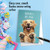Dog Sayings - Happiness, Printed Birthday Greeting Card - C10695ABDG Dog Sayings - Happiness, Printed Birthday Greeting Card - C10695ABDG
