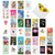 A Bunch Of Birthdays, Assorted Set Of 36 Printed Birthday Greeting Cards - AC7744BDG-B1x36