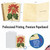 Poinsettia Season, Assorted Set Of Christmas Notecards - AM9628XSG