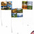 Four Seasons, Assorted Set Of Blank Notecards - AM6489OCB