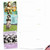 Bodacious Broads, Assorted Set Of Thank You Notecards - AM6571TYG