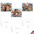 Merry Christmas To Zoo, Assorted Set Of Christmas Notecards - AM6652XSG
