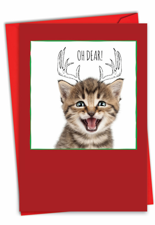 Cats & Doodles, Printed Christmas Greeting Card - C6583GXSG